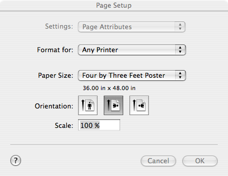 Page Setup Options select paper size and orientation